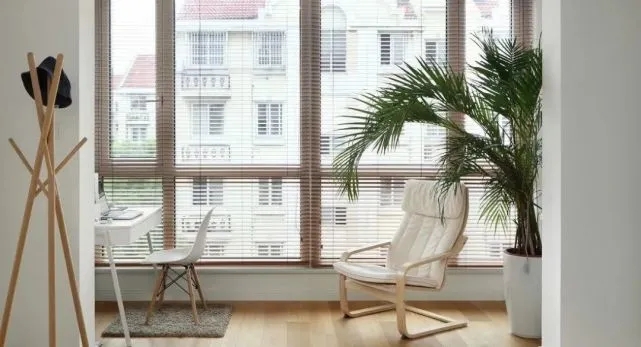 641.webp (28).jpg 641.webp (28).jpg